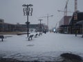 Snowy streets of amsterdam