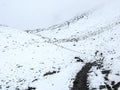 Cold snowy weather on way to Thorong La Pass, Nepal Royalty Free Stock Photo