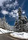 Cold and snowy winter road