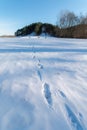 Cold snowy winter in Vallensbaek Denmark - footsteps in snow towards a hill Royalty Free Stock Photo