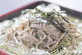 Cold soba or cold noodle in Japanese food