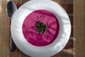 Cold soup of beetroot and vegetables with herbs on a white plate multicolor background with Royalty Free Stock Photo