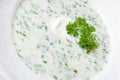 Cold soup with chopped vegetables and meat Royalty Free Stock Photo