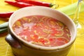 Cold soup made from pickled cabbage Royalty Free Stock Photo