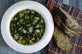 Cold soup with vegetables and herbs based on kvass