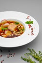 Cold soup of vegetables and smoked meat in a white plate on a gray background. Decor of basil, sea salt and red pepper. Royalty Free Stock Photo