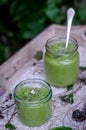 Cold spinach and avocado soup Royalty Free Stock Photo