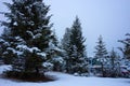 A cold spring morning at a campground in the rockies Royalty Free Stock Photo