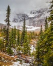 Cold start of autumn in Jasper National Park