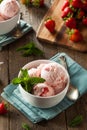 Cold Strawberry Ice Cream Royalty Free Stock Photo