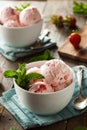 Cold Strawberry Ice Cream Royalty Free Stock Photo