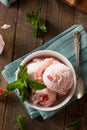 Cold Strawberry Ice Cream Royalty Free Stock Photo