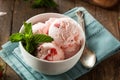 Cold Strawberry Ice Cream Royalty Free Stock Photo