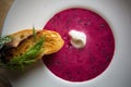 Cold summer Beets soup Royalty Free Stock Photo