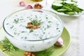 Cold summer soup Tarator Royalty Free Stock Photo