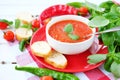 Cold summer tomato dish. Gaspacho soup with toast. Royalty Free Stock Photo