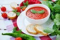 Cold summer tomato dish. Gaspacho soup with toast. Royalty Free Stock Photo