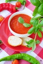 Cold summer tomato dish. Gaspacho soup with toast. Royalty Free Stock Photo