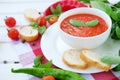 Cold summer tomato dish. Gaspacho soup with toast. Royalty Free Stock Photo