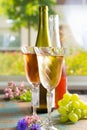 Cold summer wines, white and rose, served in beautiful glasses o