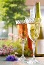 Cold summer wines, white and rose, served in beautiful glasses o