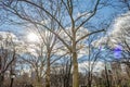 A Cold Sunny Day in Central Park. Sun Beams through Tree Branches. Royalty Free Stock Photo