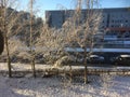 Cold sunny and snowy morning in Vilnius