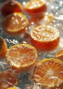 Cold tonic with ice cubes and fresh orange slices - Ideal Summer Beverage for Cooling Off. Capturing the Essence of Food and