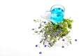 Cold tonic water and blue forget me not flowers bouquet on trendy stand isolated on white background Royalty Free Stock Photo