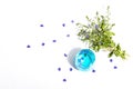 Cold tonic water and blue forget me not flowers bouquet on trendy stand isolated on white background Royalty Free Stock Photo