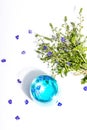 Cold tonic water and blue forget me not flowers bouquet on trendy stand isolated on white background Royalty Free Stock Photo