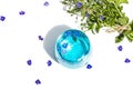 Cold tonic water and blue forget me not flowers bouquet on trendy stand isolated on white background Royalty Free Stock Photo