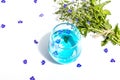 Cold tonic water and blue forget me not flowers bouquet on trendy stand isolated on white background Royalty Free Stock Photo