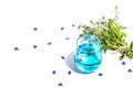 Cold tonic water and blue forget me not flowers bouquet on trendy stand isolated on white background Royalty Free Stock Photo