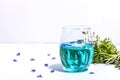 Cold tonic water and blue forget me not flowers bouquet on trendy stand isolated on white background Royalty Free Stock Photo