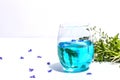 Cold tonic water and blue forget me not flowers bouquet on trendy stand isolated on white background Royalty Free Stock Photo