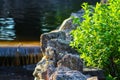 Decorative artificial waterfall in summer park. Royalty Free Stock Photo