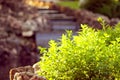 Decorative artificial waterfall in summer park. Royalty Free Stock Photo