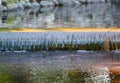 Decorative artificial waterfall in summer park. Royalty Free Stock Photo