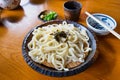 Cold udon with green onion and wasibi Royalty Free Stock Photo