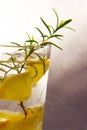 Cold vitamin drink with lemon and sprig of rosemary on light background