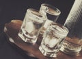 Cold vodka in shot glass and bottle, the concept of alcohol dependence, selective focus