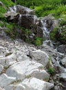 A stream cascades on Hannegan trail in Washington Royalty Free Stock Photo