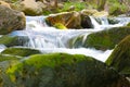 Cold water flows over the stones of green moss in the forest. Royalty Free Stock Photo