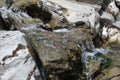 Clear water flows in a mountain stream in the North Cascades Royalty Free Stock Photo