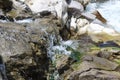 Clear water flows in a mountain stream in the North Cascades Royalty Free Stock Photo