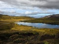 Cold water in Iceland. Stream in rocky mountains and lake side.