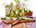 Cold water with lemon mint leaf. Fresh lemonade with lime . Royalty Free Stock Photo