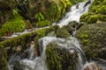 The Cold Water spring of Tepelena City