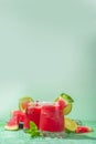 Cold watermelon margaritas Royalty Free Stock Photo